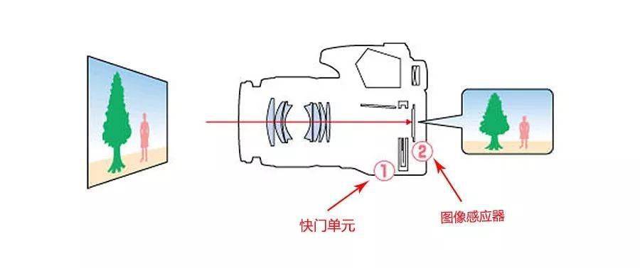 赢博体育官网入口：赢博体育：摄影｜ 摄影基础知识（三）(图18)